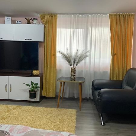 Garsoniera Madalina Apartment Сибиу Екстериор снимка