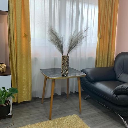 Garsoniera Madalina Apartment Сибиу Екстериор снимка