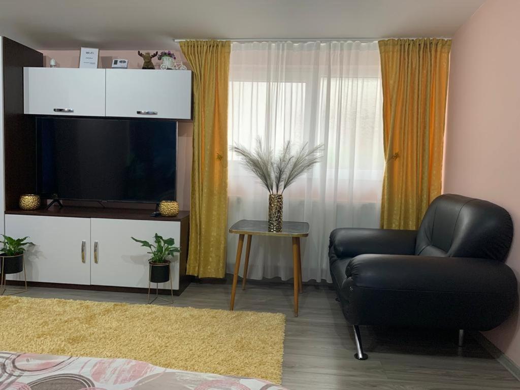 Garsoniera Madalina Apartment Сибиу Екстериор снимка