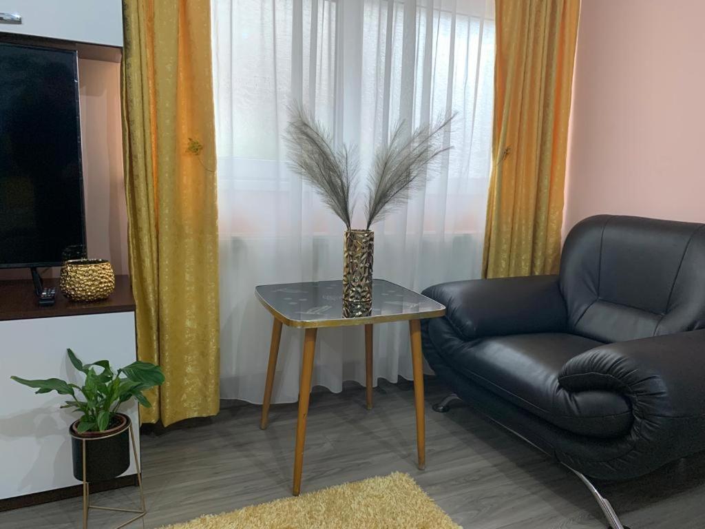Garsoniera Madalina Apartment Сибиу Екстериор снимка