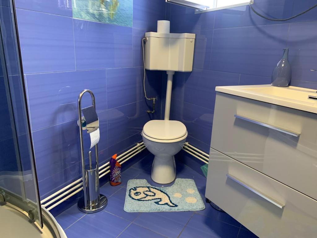 Garsoniera Madalina Apartment Сибиу Екстериор снимка