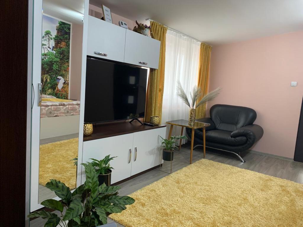 Garsoniera Madalina Apartment Сибиу Екстериор снимка