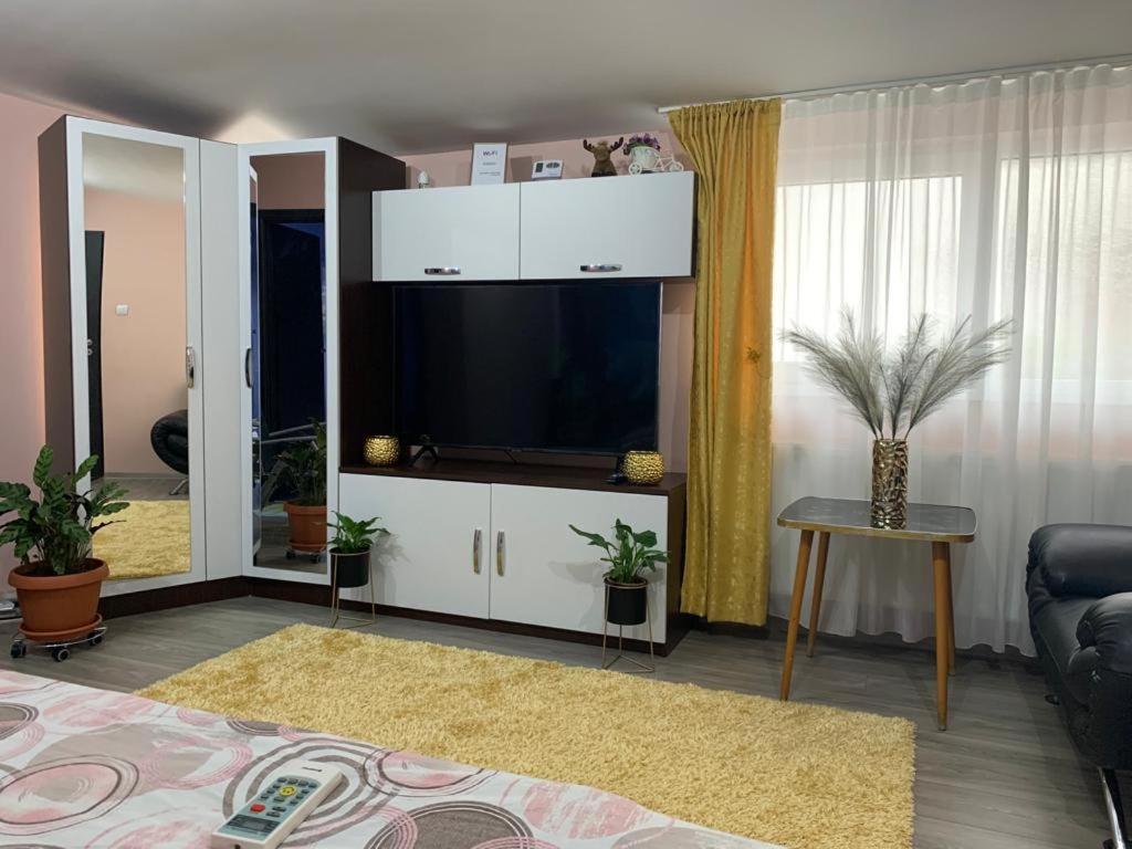 Garsoniera Madalina Apartment Сибиу Екстериор снимка