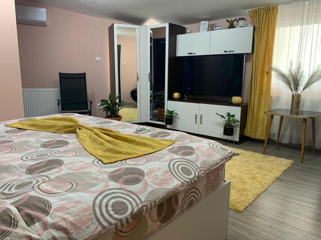 Garsoniera Madalina Apartment Сибиу Екстериор снимка