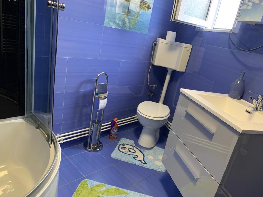 Garsoniera Madalina Apartment Сибиу Екстериор снимка